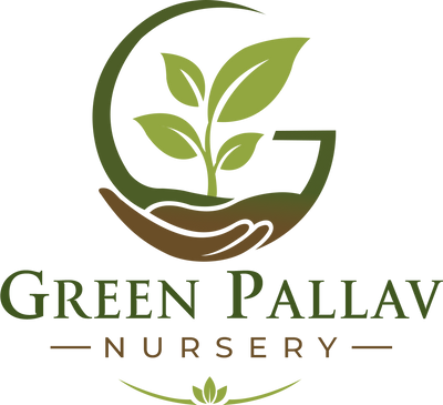 Green Pallav Nursery