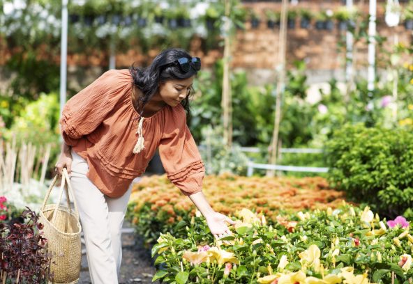 local-retailer-taking-care-his-business