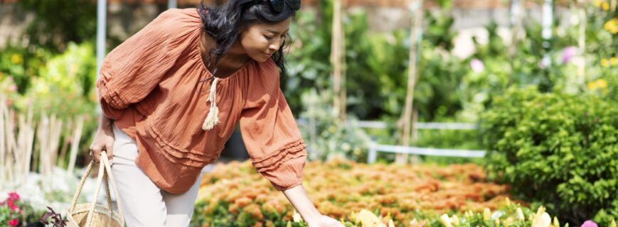 local-retailer-taking-care-his-business